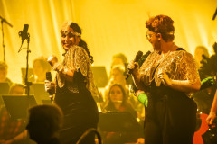 20251213-Warm-Welkom-Milheeze- (401) (Groot)